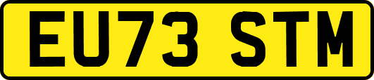 EU73STM