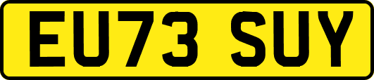 EU73SUY