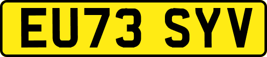 EU73SYV