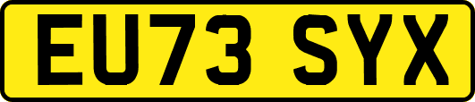 EU73SYX