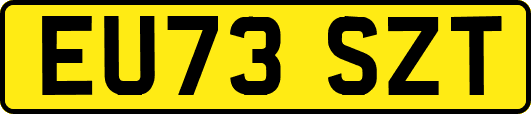EU73SZT