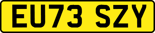EU73SZY
