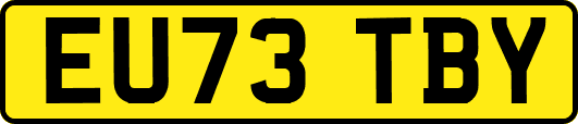 EU73TBY