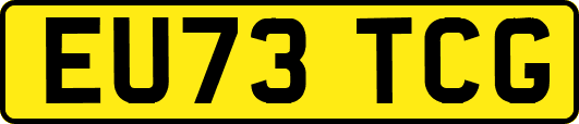 EU73TCG