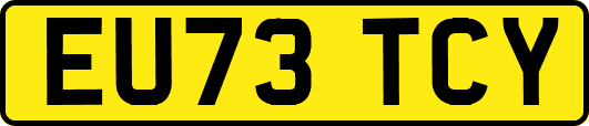 EU73TCY