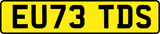 EU73TDS