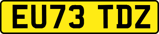 EU73TDZ