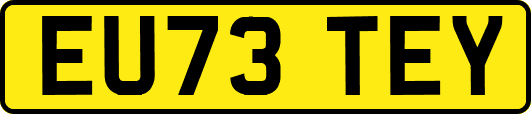 EU73TEY