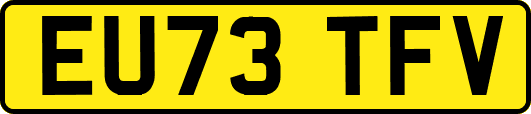 EU73TFV