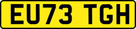 EU73TGH