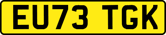 EU73TGK