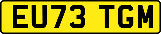 EU73TGM