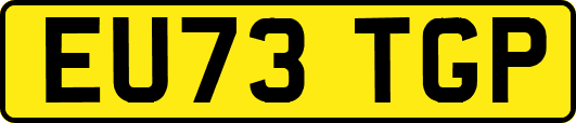 EU73TGP