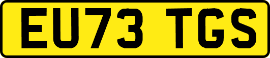 EU73TGS