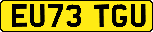 EU73TGU