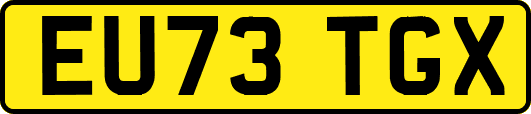 EU73TGX