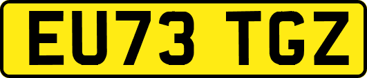 EU73TGZ