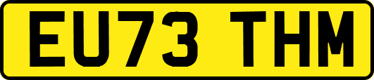 EU73THM