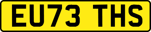 EU73THS