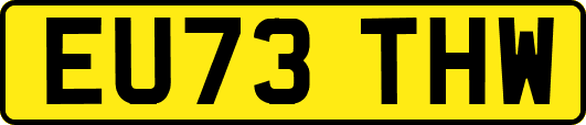 EU73THW