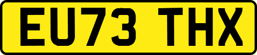 EU73THX