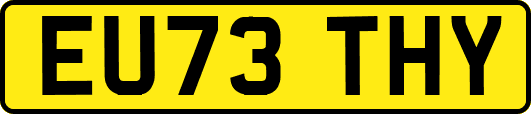 EU73THY