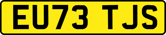 EU73TJS