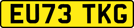 EU73TKG