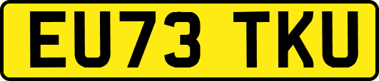 EU73TKU