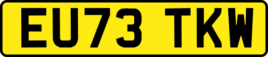 EU73TKW
