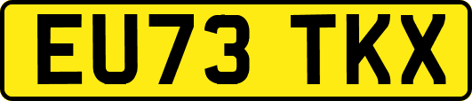 EU73TKX