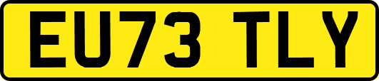 EU73TLY