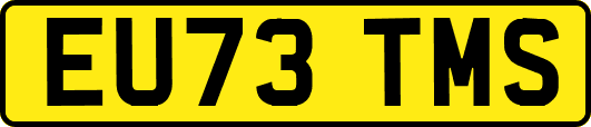 EU73TMS