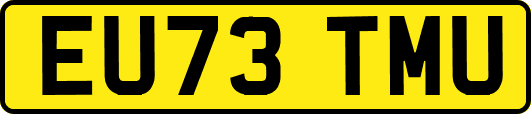 EU73TMU