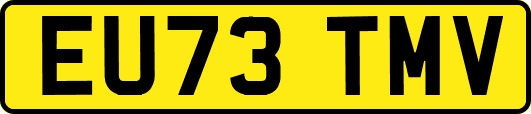 EU73TMV