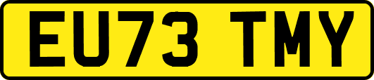 EU73TMY