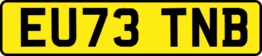 EU73TNB