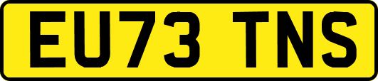EU73TNS