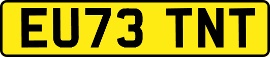 EU73TNT