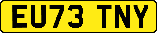 EU73TNY