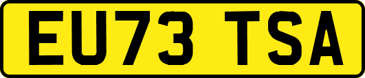 EU73TSA