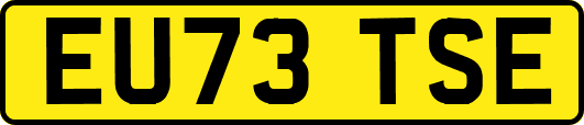 EU73TSE