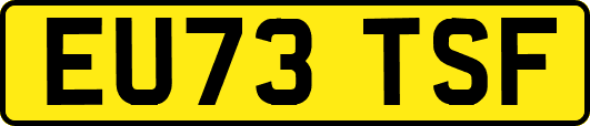 EU73TSF
