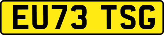 EU73TSG