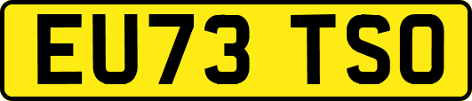 EU73TSO