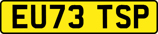 EU73TSP