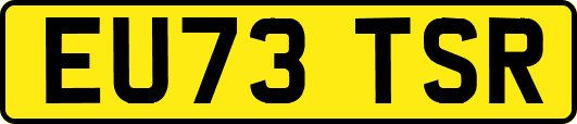 EU73TSR