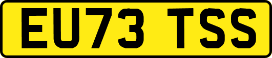 EU73TSS