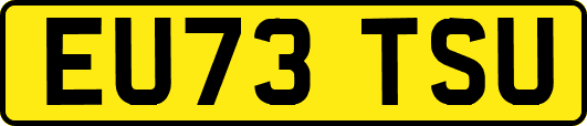 EU73TSU