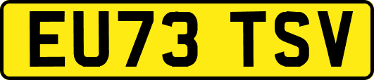 EU73TSV